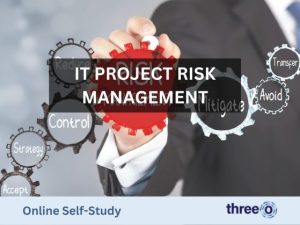 IT Project Risk Management