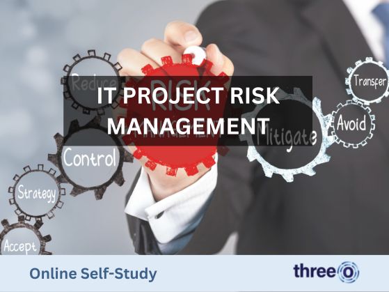 IT Project Risk Management